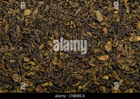 selektive grosses Blatt Grüntee als Hintergrund Stockfoto