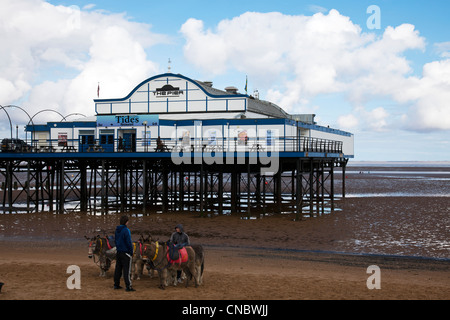 Cleethorpes, Lincolnshire, England, UK Pier Gezeiten einen traditionelle viktorianische Pier, die jetzt eine Diskothek ist & Restaurant Esel auf Stockfoto