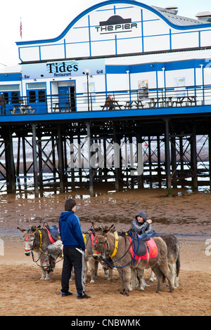 Cleethorpes, Lincolnshire, England, UK Pier Gezeiten einen traditionelle viktorianische Pier, die jetzt eine Diskothek ist & Restaurant Esel auf Stockfoto