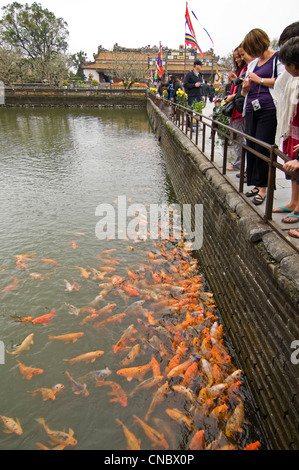 Vertikale Ansicht von Touristen füttern hungrige Karpfen von Trung Dao (Weg) Brücke innerhalb des königlichen oder kaiserlichen Palast in Hue, Vietnam Stockfoto