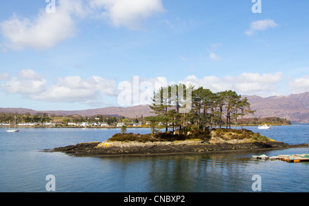 Kleinen Insel im Loch Carron in der Nähe von plockton Stockfoto