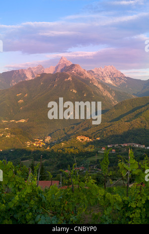 Italien, Toskana, Monzone und den Apuanischen Alpen im späten Abendlicht Stockfoto