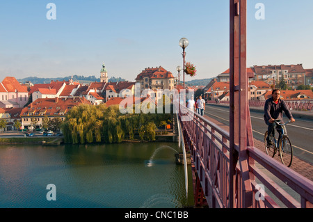 Slowenien, untere Steiermark, Maribor, europäische Hauptstadt der Kultur 2012, die alte Stadt an den Ufern des Flusses Drave Stockfoto