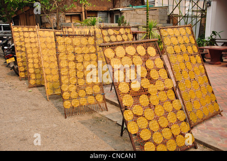 Knusprige Reiskuchen trocknen in der Sonne, Luang Prabang, der Provinz Luang Prabang, Laos Stockfoto