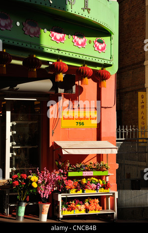 Chinatown von San Francisco, CA Stockfoto