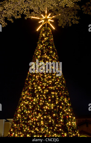 Weihnachtsbeleuchtung in der Nacht in The Woodlands Town Centre, The Woodlands, Texas. Stockfoto