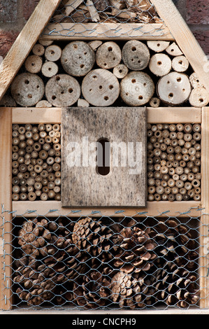 Inscet box für die Förderung Insekten (Tiere) in den Garten. Großbritannien Stockfoto