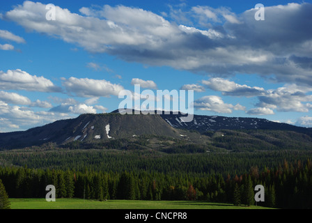 Runde obere Berge und Wälder in der Nähe von Togwotee Pass, Wyoming Stockfoto