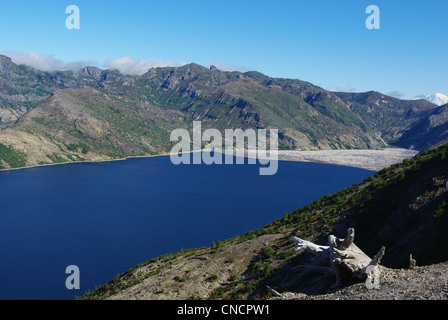 Trockenen Log hoch über Spirit Lake, Washington Stockfoto