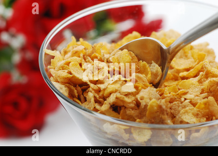 Essen Faser Müsli mit rosa Hintergrund Stockfoto