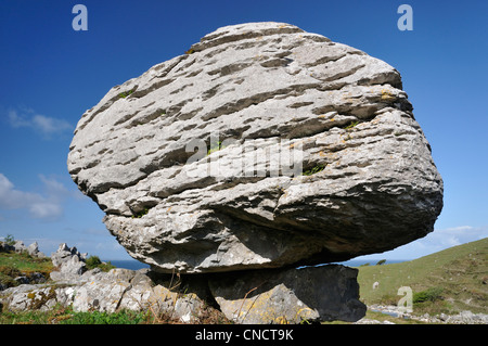 Kalkstein eiszeitlichen Findling, Caher Valley, die Burren Stockfoto