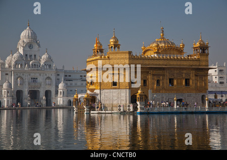 Der Goldene Tempel, Sikhismus des heiligsten Schrein in Amritsar, Punjab, Indien. Stockfoto