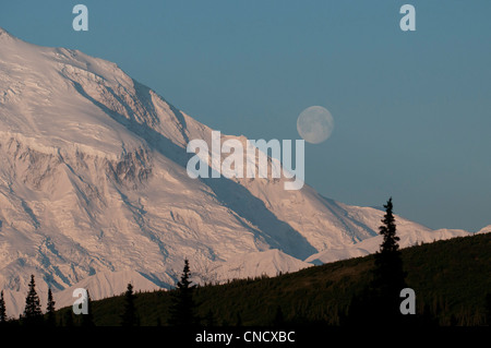 Mondaufgang über Mt. McKinley im Denali-Nationalpark & Preserve, innen Alaska, Sommer Stockfoto