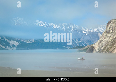 Ein Kajaker paddelt durch den Nebel im Muir Inlet, Glacier Bay Nationalpark & Preserve, südöstlichen Alaska, Sommer Stockfoto