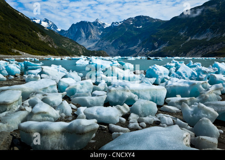 Malerische Eisberge von McBride Gletscher im Muir Inlet, Glacier Bay Nationalpark & Preserve, südöstlichen Alaska, Sommer Stockfoto