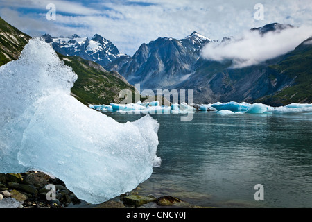 Malerische Eisberge von McBride Gletscher im Muir Inlet, Glacier Bay Nationalpark & Preserve, südöstlichen Alaska, Sommer Stockfoto