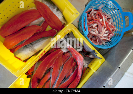 Kisten mit Teilen von Sockeye Lachs verwendet für verschiedene Verarbeitung am Naknek Familie Fischerei, Bristol Bay, Alaska Stockfoto