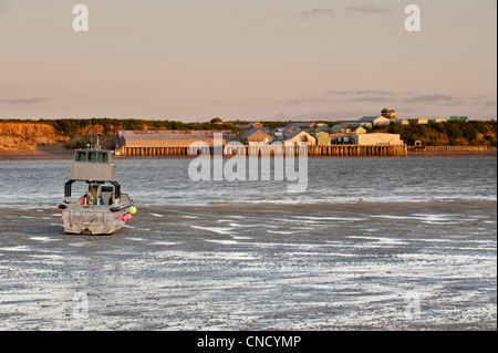 Ein Treibnetz-Boot ruht auf den Wattflächen des Flusses Naknek bei Sonnenuntergang während des Wartens auf die Flut, Bristol Bay, Alaska Stockfoto