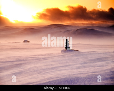 Abendlicht und Schneegestöber auf der Hardangervidda, Norwegen Stockfoto