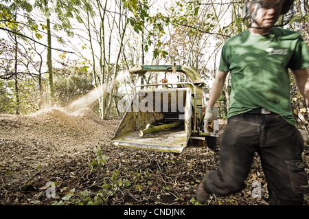 Baumpfleger mit einem Chipping-Maschine Stockfoto