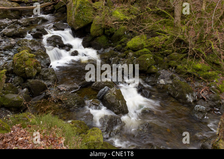 Lodore Wasserfälle in der Nähe von Derwent Water, Keswick im Lake District National Park UK Stockfoto
