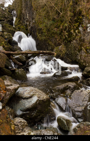 Lodore Wasserfälle in der Nähe von Derwent Water, Keswick im Lake District National Park UK Stockfoto
