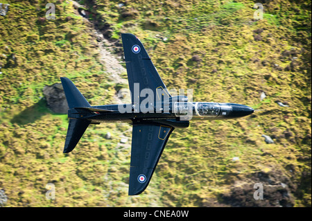 Eine raf HAWK T1 LOW FLYING IN NORTH WALES wissen als die Mach Schleife, sie fliegen so niedrig wie 100ft Stockfoto