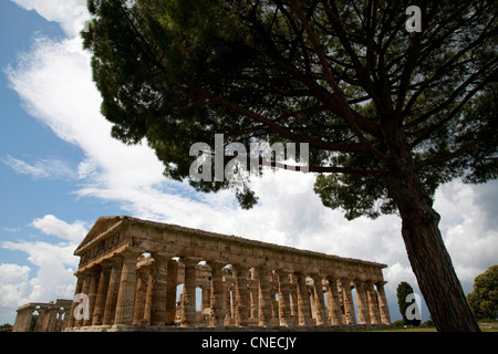 Ein Blick durch die Bäume die griechischen Ruinen von Paestum, Italien. Stockfoto