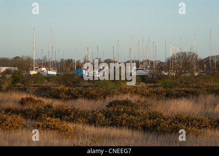 Blick auf die Yachten im Hafen von Lymington über den Salzwiesen im Morgengrauen Stockfoto