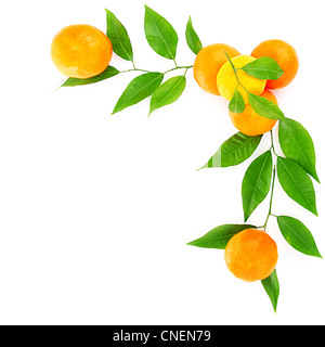 Frische Mandarinen Grenze isoliert auf weißem Hintergrund, gesunde Ernährung Konzept Stockfoto