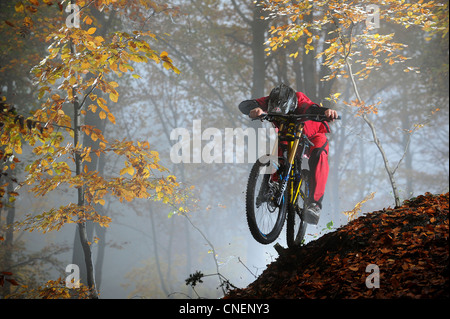 Ein downhill Mountainbiker reitet auf Laub im Forest of Dean im Herbst. Stockfoto