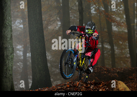 Ein downhill Mountainbiker reitet auf Laub im Forest of Dean im Herbst. Stockfoto