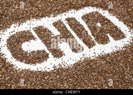 Chia-Wort, das von Chia-Samen auf weißen Künstlerleinwand Stockfoto