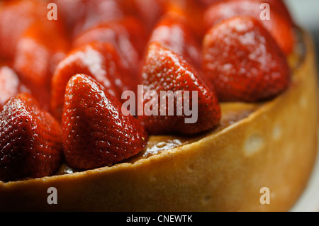 Strawberry Cheesecake, Kuchen mit ganzen Erdbeeren Stockfoto