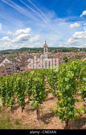 Berühmte Munot Festung in Schaffhausen, umgeben von Weinbergen Stockfoto