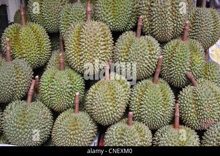 Durian Frucht im Stall bei Yaowarat Straße (Chinatown), Samphanthawong Bezirk, Bangkok, Thailand Stockfoto