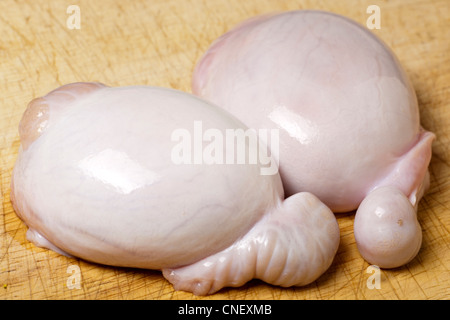 bereit für das Kochen Lamm Hoden Stockfoto