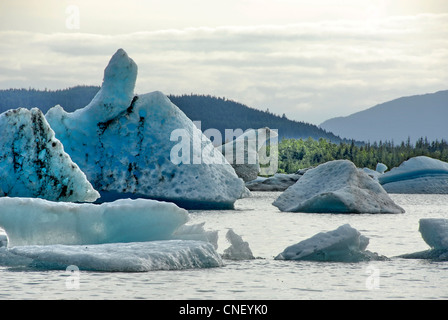 Eisberge von Mendenhall Lake Mendenhall-Gletscher in der Nähe von Juneau, Alaska Stockfoto