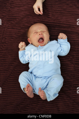 Ein neugeborenes Baby junge liegend auf einer Decke, wird auf seine Schwester gerichtet. Stockfoto