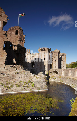 Raglan Castle, Monmouthshire, Wales, UK Stockfoto