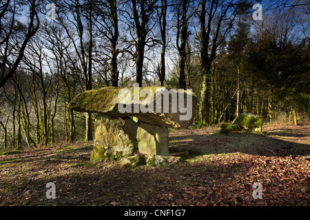 Gwal y Filiast neolithische Grab, Carmarthenshire, West Wales, UK Stockfoto