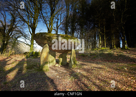Gwal y Filiast neolithische Grab, Carmarthenshire, West Wales, UK Stockfoto