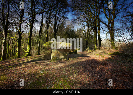 Gwal y Filiast neolithische Grab, Carmarthenshire, West Wales, UK Stockfoto