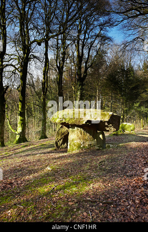Gwal y Filiast neolithische Grab, Carmarthenshire, West Wales, UK Stockfoto