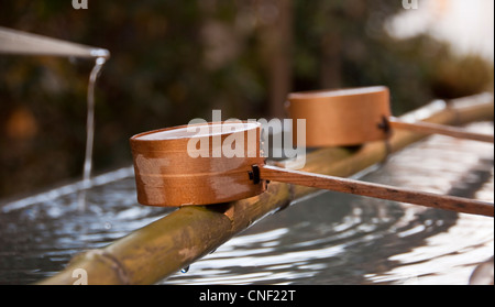 Temizuma, Bambus-Brunnen am Meiji-Jingu Schrein in Tokyo - Japan Stockfoto