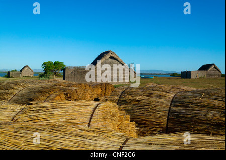 Fisher Blockhaus, Teich von Canet, Saint Cyprien, Pyrenäen Orientales, Languedoc-Roussillon, Frankreich Stockfoto