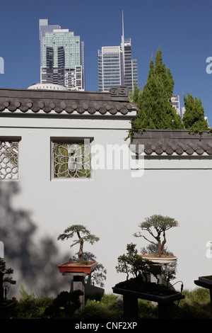 Chinesischer Garten der Freundschaft in Chinatown in Sydney, Australien Stockfoto