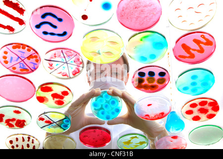 Labor, biologische, chemische. Analyse der bakteriellen Kulturen von Bakterien wachsen in Petrischalen. Stockfoto