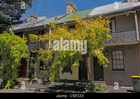 Viktorianische Architektur in Paddington und Oxford St., Sydney, Australien Stockfoto