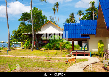 Bungalowanlage im Dschungel, Koh Lanta, Thailand Stockfoto